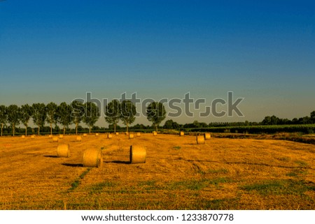 Milan, Italy - fields with hay bales