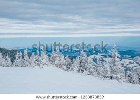 Fairy-tale winter landscape.