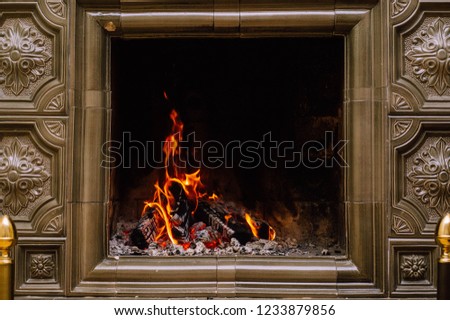 Burning fireplace. Fireplace as a piece of furniture