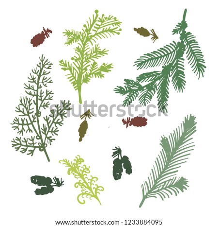 drawing set of elements of isolates, branches of coniferous trees: spruce, juniper, larch, cedar, pine. hand drawn sketch doodle digital vector illustration