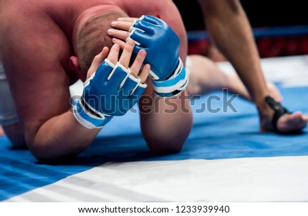 Mixed martial fighters on the ground of arena during competition. Two MMA fighters fight on floor ring