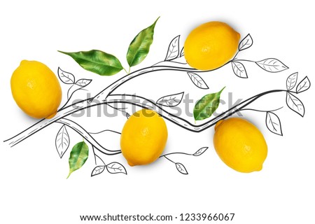 Fruit composition with fresh lemon and cartoon cute doodle drawing elements on isolated white background. Creative minimalistic food concept. Royalty-Free Stock Photo #1233966067