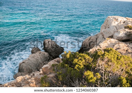 The rocky coast of Cyprus at sunset. Caves and cliffs of Greece. Waves at sea. Coral seacoast. 