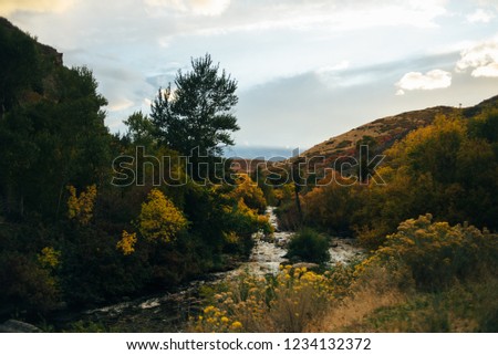 Picture of a fast mountain stream under the last daily sunrays