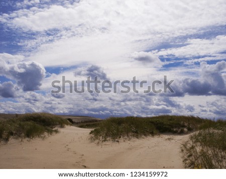 Dunes on the Baltic Sea