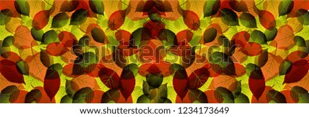 colorful leafs background