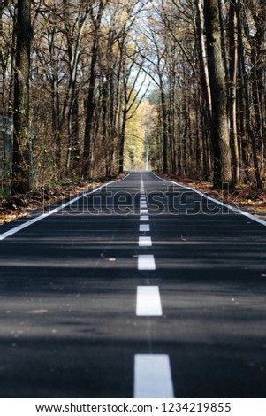 Beautiful, smooth and asphalt road with markings in the forest.