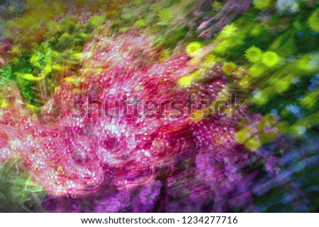 abstract flower photo