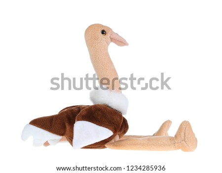 ostrich Doll isolate on white