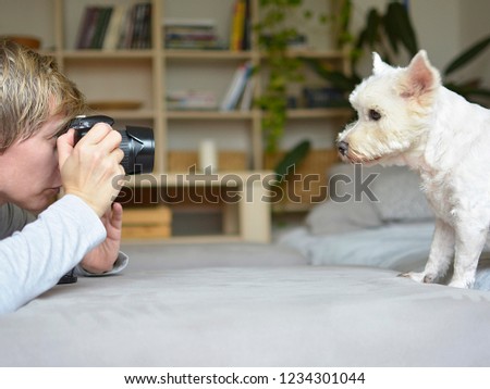 woman photographing dog in interior
