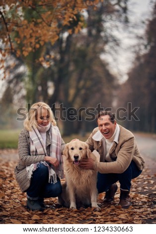 Senior couple walking in park in autumn. Attractive woman and handsome man spending time together with dog golden retriever.