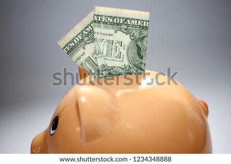 A piggy bank with money, us dollars and coins. Change with bills and pink pig bank. Year of the earth pig. Savings and economy concept. 