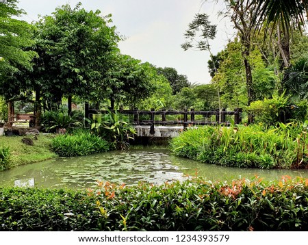 View of lotus pond and bridge in the garden.