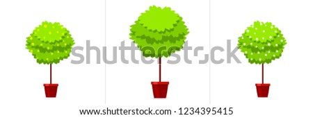 Boxwood tree in flowerpot icon set. Clipart image isolated on white background