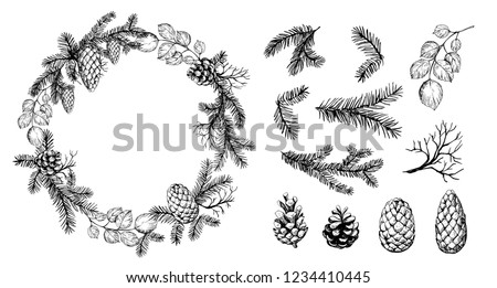 Pine wreath with cone and fir brunches. Vector illustration. Royalty-Free Stock Photo #1234410445