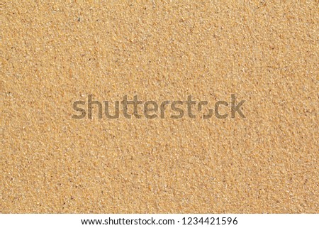 Textured wet sand background (sand, top, texture)