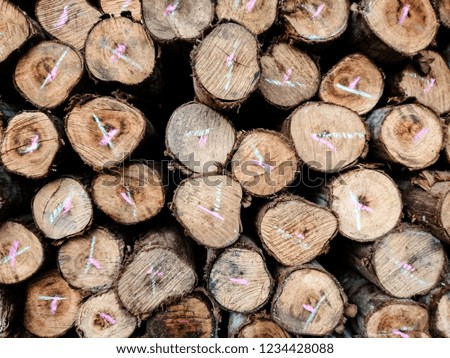 Piles of round lumber using in construction site. Close up photo.