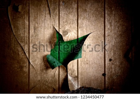

peeling wall on green with wooden structure