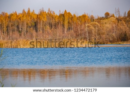 Autumn lake, vegetation and a beach with trees
