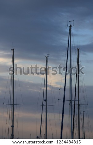 Outdoor view of pattern of many yachts masts with a blue cloudy sky in background. Abstract image with vertical and oblique lines. Purple tone in the evening.