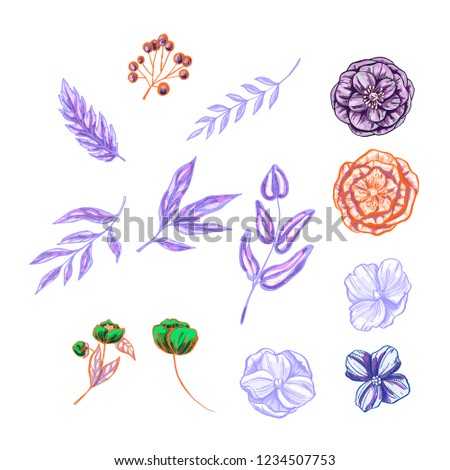 Set of floral and plant items isolated on white background. Vintage elements for invitations, greeting cards, covers and other items. Vector illustration