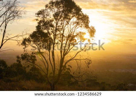 Beautiful sunset landscape from Mundarin area sillouettes of trees