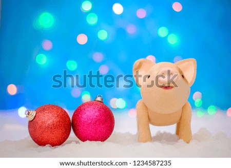 New year picture with a cute pig and red Christmas balls in the snow on a blue background with colorful illumination