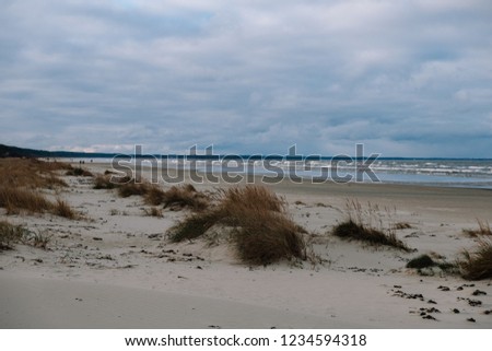 Recreational walk by the Baltic sea is calming for your internal harmony. Typical coast image of the Baltics. Sand dunes with grass in resort city of Jurmala. 