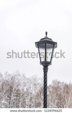 Lamp post in a winter park, Vintage black street light against trees and sky