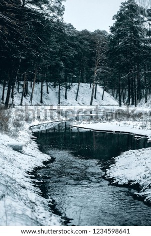 
river in a snowy forest