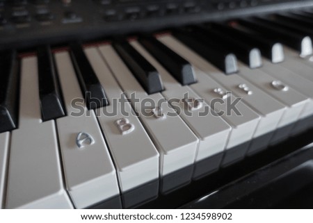 labeled piano keys               
