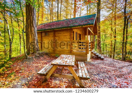 Autumn, Wooden forest house in the woods. Colorful tree leaves. Tree leaves falling on the ground. Yedigoller, Bolu, Istanbul, Turkey.