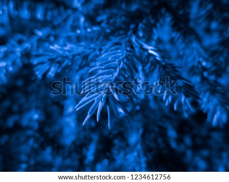Blue colored christmas tree. Holiday christmas card