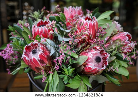 Beautiful fresh flower arrangement of Protea macrocephala flowers.