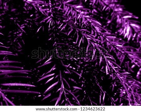 Purple christmas tree - holiday christmas card. Background and Texture