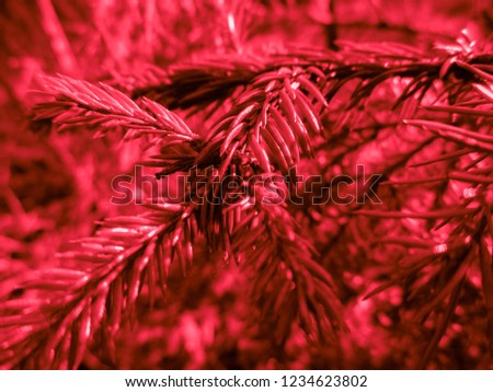 Red christmas tree. Holiday christmas card