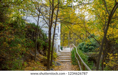 Landscape in a forest with the arrival of autumn in which the fall of leaves leaves a beautiful and spectacular view