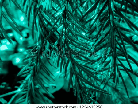 Aqua colored christmas tree. Holiday christmas card