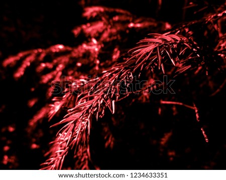 Red christmas tree - holiday christmas card. Background and Texture