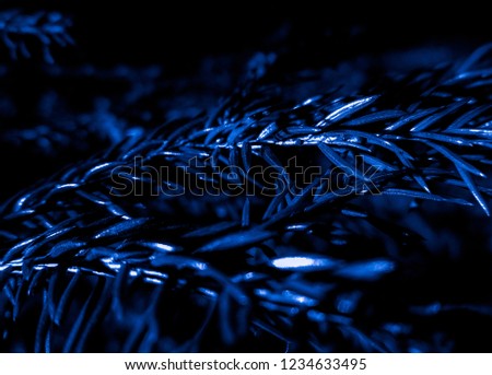 Dark blue christmas tree - holiday christmas card. Background and Texture