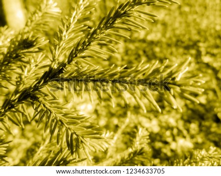 Golden christmas tree. Holiday christmas card