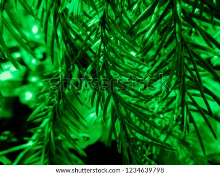 Green christmas tree. Holiday christmas card