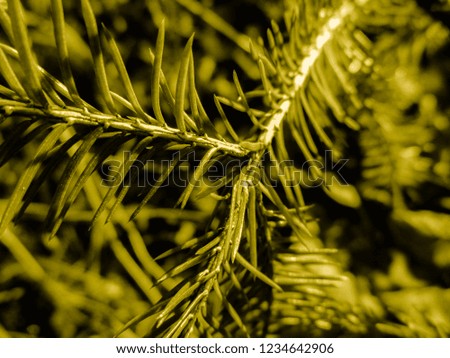 Golden christmas tree. Holiday christmas card