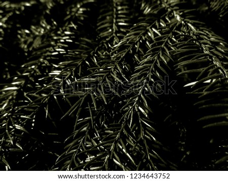 Mystical christmas tree - holiday christmas card. Background and Texture