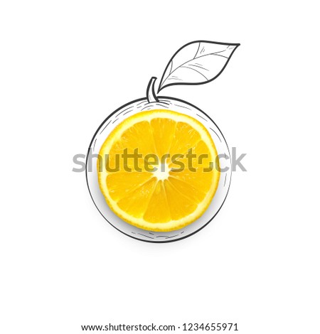 Fruit composition with fresh lemon and cartoon cute doodle drawing elements on isolated white background. Creative minimalistic food concept.
