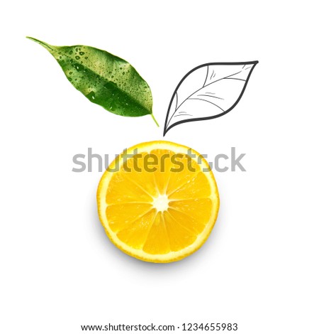 Fruit composition with fresh lemon and cartoon cute doodle drawing elements on isolated white background. Creative minimalistic food concept. Royalty-Free Stock Photo #1234655983