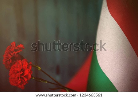 Hungary flag with two red carnation flowers for honour of veterans or memorial day on light blue blurred natural wood wall. Hungary glory to the heroes of war concept.
