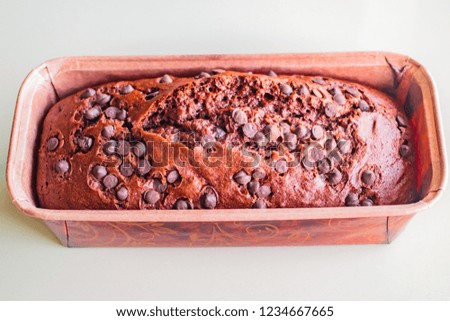 Homemade Chocolate cake with chocolate chip for breakfast or dessert.