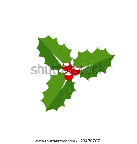 Vector Christmas holly with berries. Vector illustration EPS 10