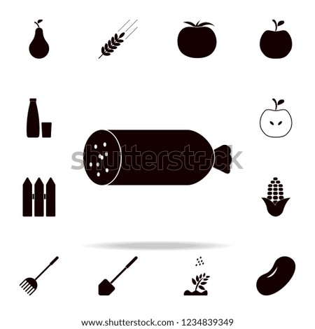 piece of sausage icon. Farm icons universal set for web and mobile